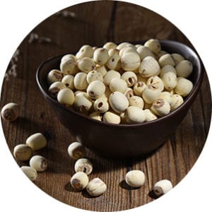 מפיץ ריח לבית ולעסק